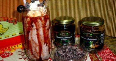 Milk shake de Jabuticaba da Rosilene