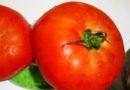 O Uso do Tomate – Matéria no Jornal Hoje Rede Globo 31-10-09