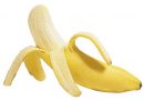 Os Benefícios da Banana. “One banana all day, put de doctor away”!