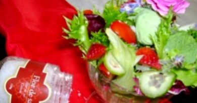 Primavera – salada sinfonia de folhas, flores e frutos