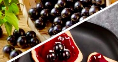 JABUTICABA – Geleia e Curiosidades