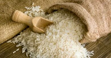1º Festival do Arroz em BH