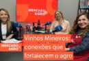 Vinhos de Minas em evidência: tradição e conexão