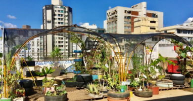 Rosi Campolina no Brasil das Gerais/Rede Minas falando sobre “Hortas Sustentáveis”